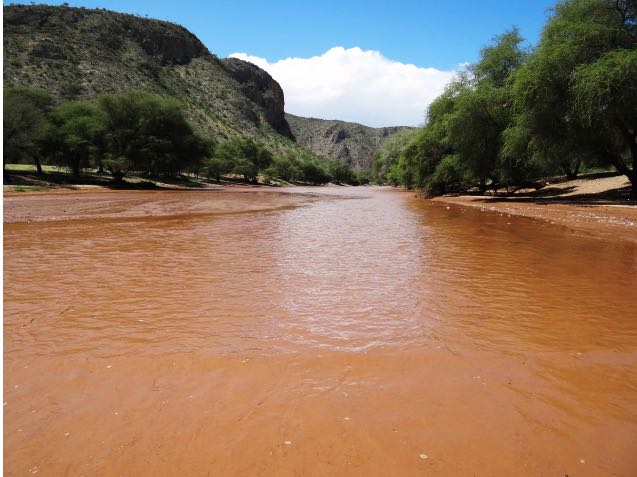 The Hoanib River in flood near Kowareb. Photo by Sian Sullivan
